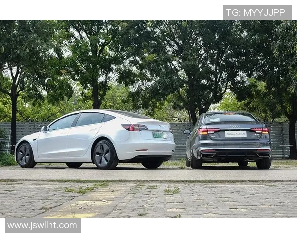 姚明与特斯拉携手合作开启智能出行新时代，共创篮球与科技的完美结合